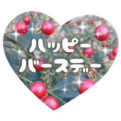 Convey a congrats along with the plants