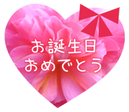 Convey a congrats along with the plants sticker #13935601