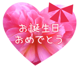 Convey a congrats along with the plants sticker #13935601