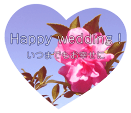 Convey a congrats along with the plants sticker #13935602