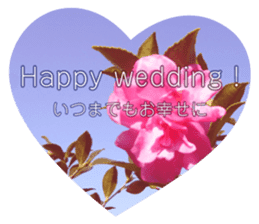 Convey a congrats along with the plants sticker #13935602