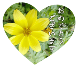 Convey a congrats along with the plants sticker #13935605