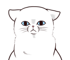 Mr. fat cat sticker #13935740