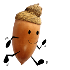 Run! Run! Acorn-chan!