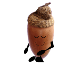 Run! Run! Acorn-chan! sticker #13936080