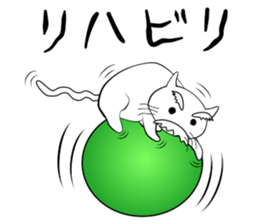 The Old Cat sticker #13936355