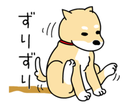 Moving awkwardly! Shiba Inu and friends sticker #13936670