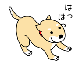 Moving awkwardly! Shiba Inu and friends sticker #13936672