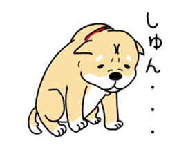 Moving awkwardly! Shiba Inu and friends sticker #13936673