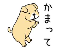 Moving awkwardly! Shiba Inu and friends sticker #13936679