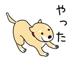 Moving awkwardly! Shiba Inu and friends sticker #13936681