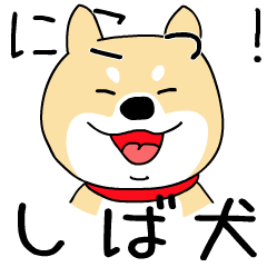 Moving awkwardly! Shiba Inu and friends