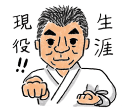 Love KARATE, TokiDoki Bucho! sticker #13936686