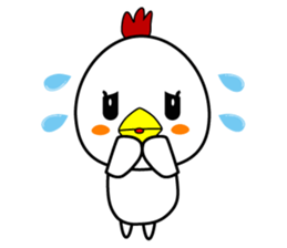 Chicken's daily Sticker sticker #13937056