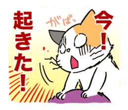 Cat Dojinshi convention sticker #13937445