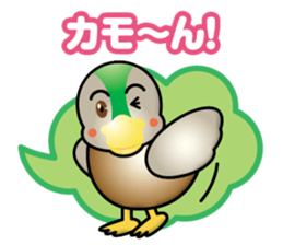 duck-boy sticker #13938738