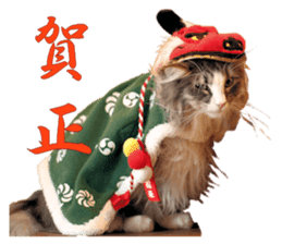 Adagio's Cats New Year ver. sticker #13939590