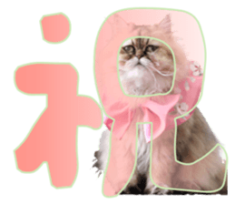 Adagio's Cats New Year ver. sticker #13939591