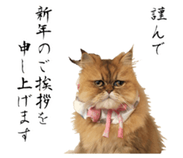 Adagio's Cats New Year ver. sticker #13939594