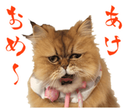 Adagio's Cats New Year ver. sticker #13939595