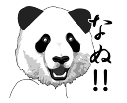 Panda moving briskly (Animated) sticker #13943162