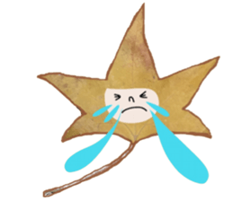 Cool Leaf sticker #13945040