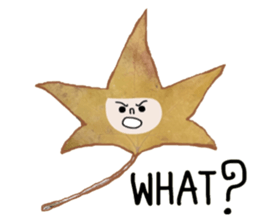 Cool Leaf sticker #13945049