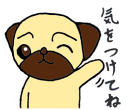 Child Pug's Pusuke sticker #13945193
