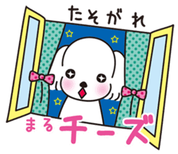 Mr. piece of a Maltese dog sticker #13945227