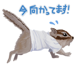 Animals In Daily Life sticker #13946163
