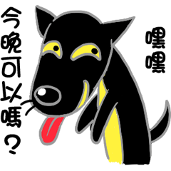 Hey, black dog brother
