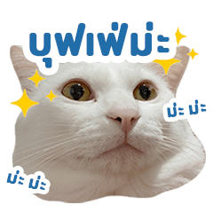 สติ๊กเกอร์ไลน์ YUKI FAT WHITE CAT