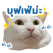สติ๊กเกอร์ไลน์ YUKI FAT WHITE CAT
