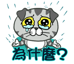 Shrimp meow sticker #13949273
