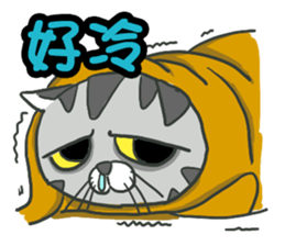Shrimp meow sticker #13949276