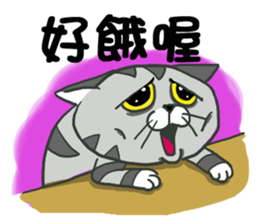 Shrimp meow sticker #13949277