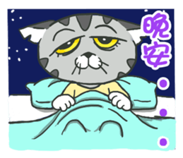 Shrimp meow sticker #13949279