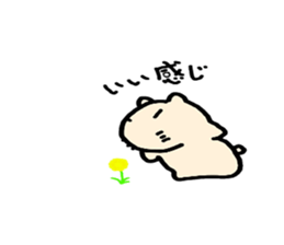 Mr.Kapiji Sticker Standard sticker #13949913