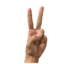 HAND SIGN!!! sticker #13950705