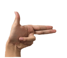 HAND SIGN!!! sticker #13950707