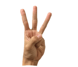 HAND SIGN!!! sticker #13950709