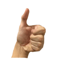 HAND SIGN!!! sticker #13950713