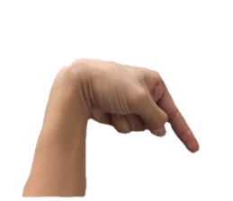 HAND SIGN!!! sticker #13950724