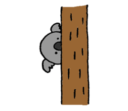 Koala's name is Fumiko sticker #13950910