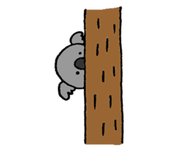 Koala's name is Fumiko sticker #13950910
