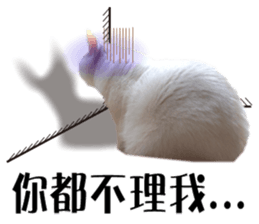 Soybean Milk! A white cat with blue eyes sticker #13951495