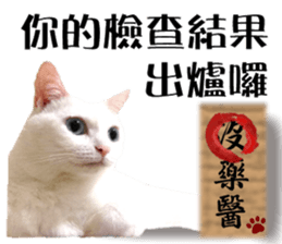Soybean Milk! A white cat with blue eyes sticker #13951499