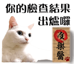 Soybean Milk! A white cat with blue eyes sticker #13951499