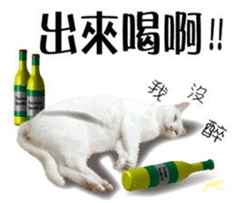 Soybean Milk! A white cat with blue eyes sticker #13951503