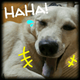 Rascal Dogs Chuchu sticker #13951618